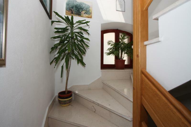 Marjan Apartment & Rooms Сплит Екстериор снимка